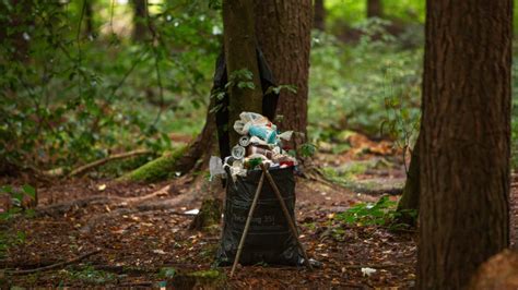 mägenwiler wald|Wie ein Wald im Aargau zum «Schwulewäldli» wurde